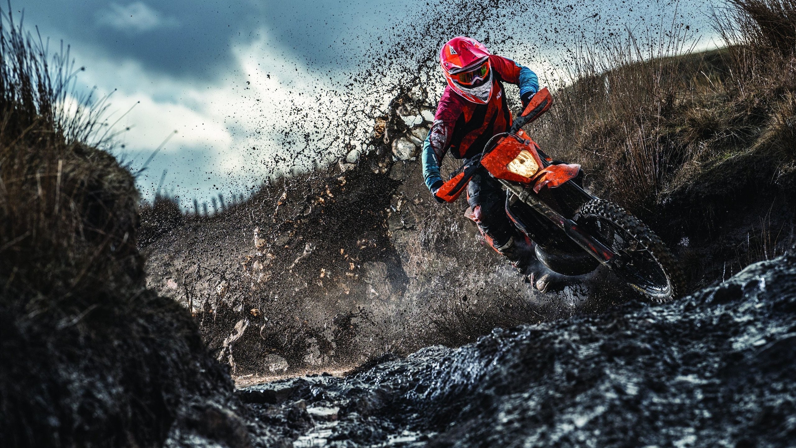 龙狮舞表演结合竞技，传统运动新创新